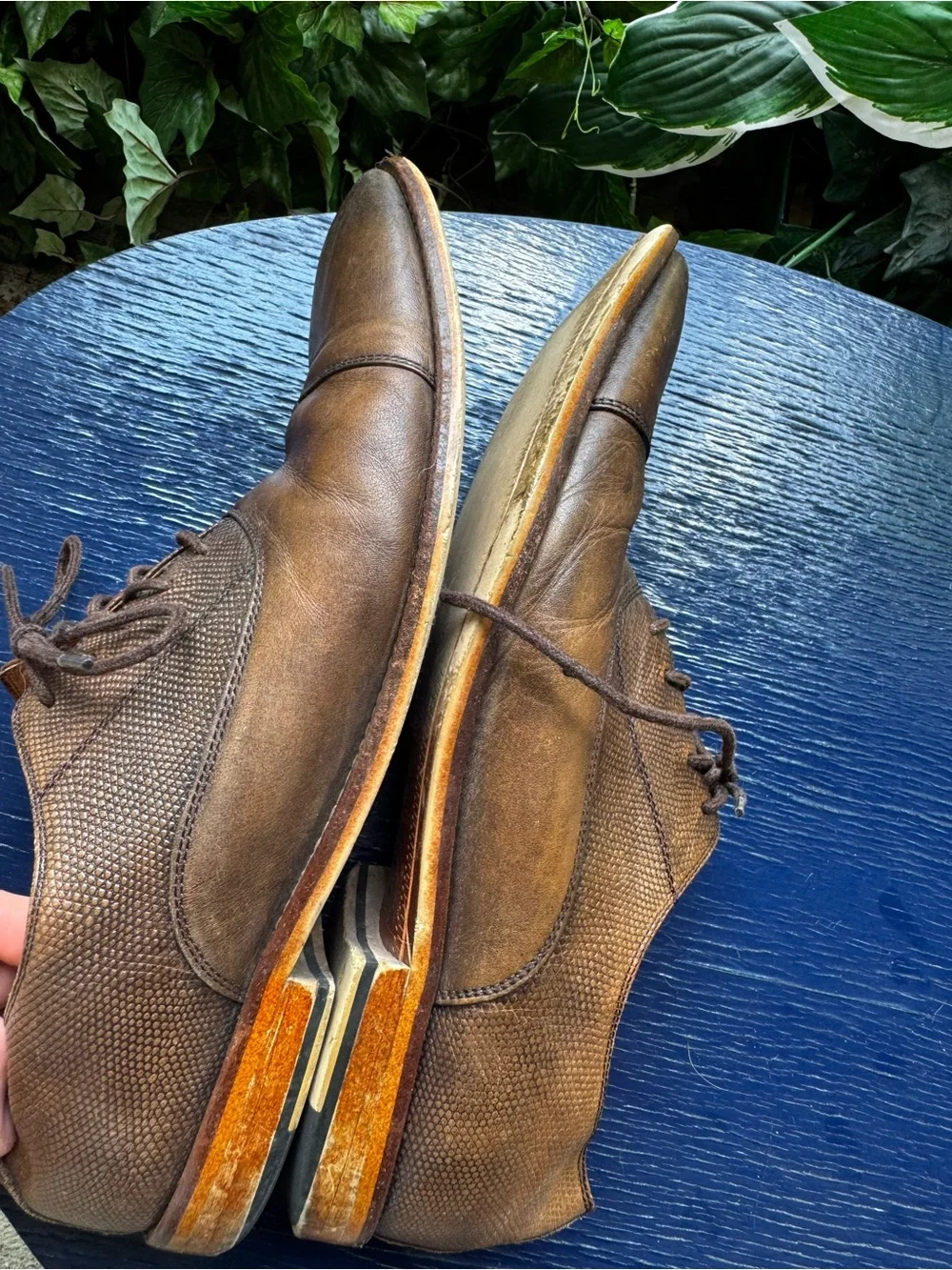 Warfield & Grand Brown Logan Leather Dress Oxfords Cap toe and textured design
